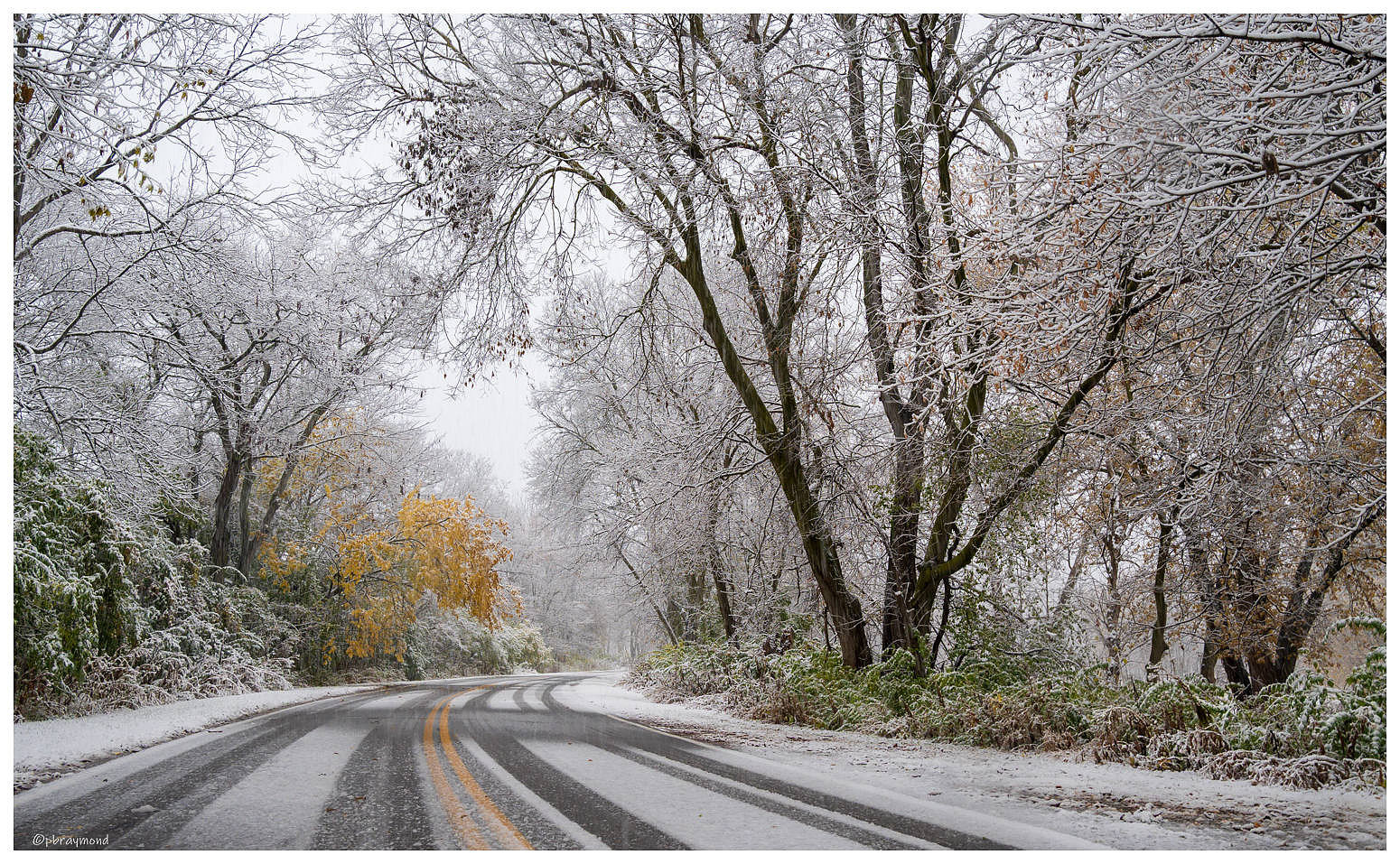 November Snow meets Fall Color