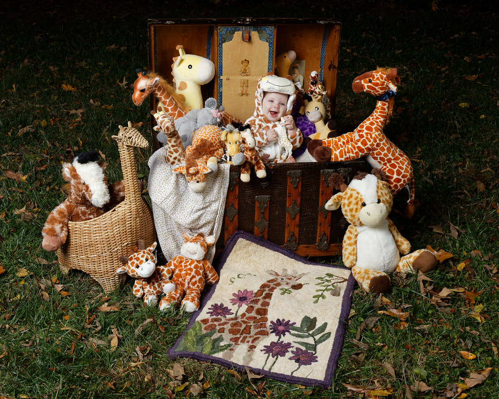 Giraffes
