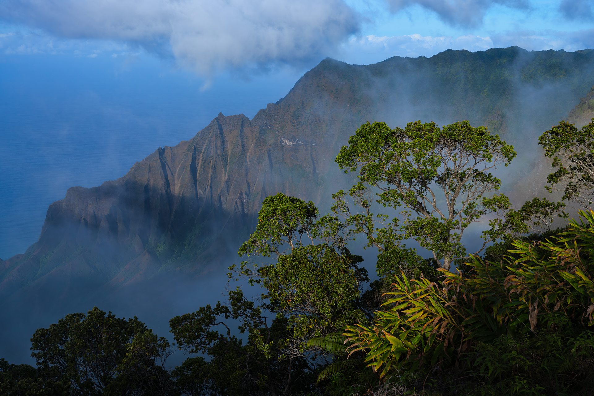 Aloha Kauai