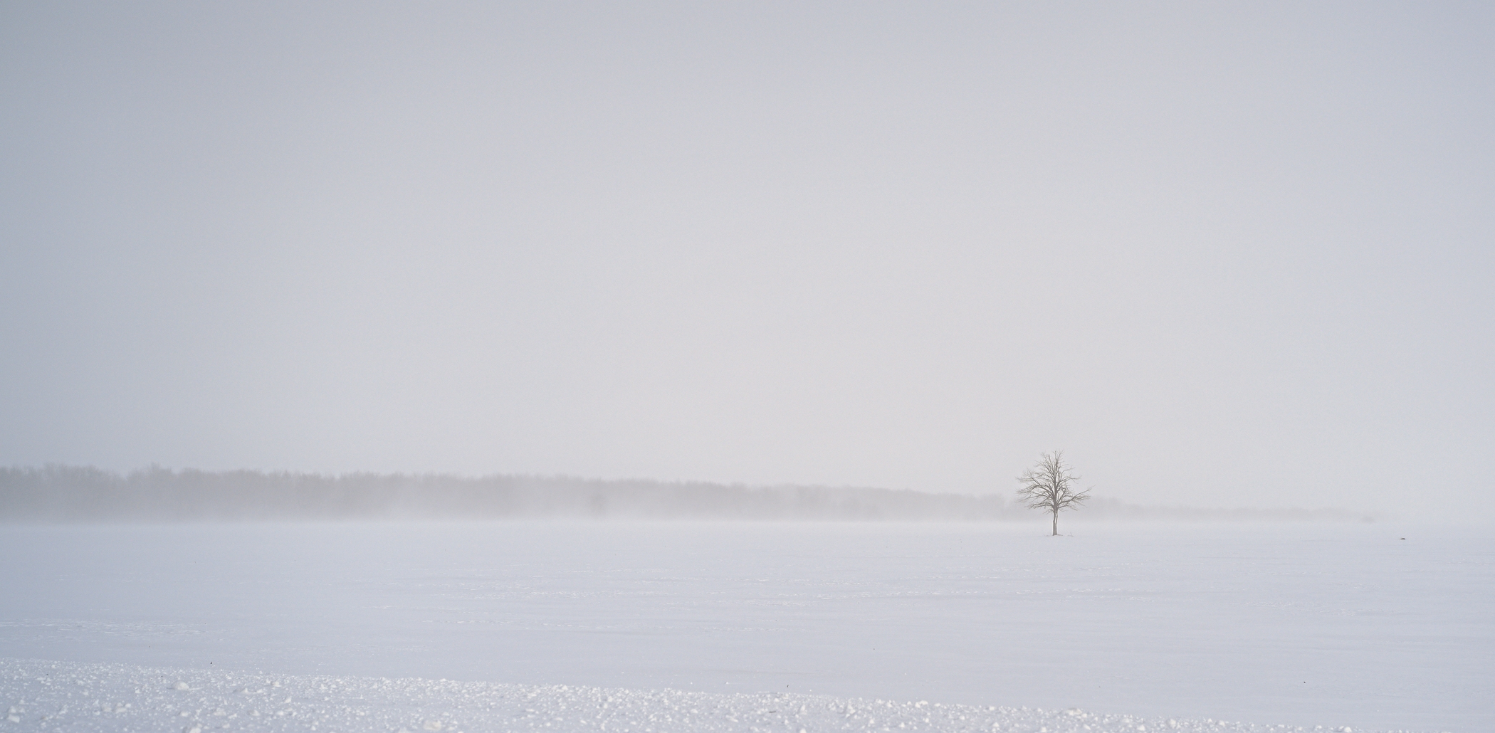 Snowy landscapes