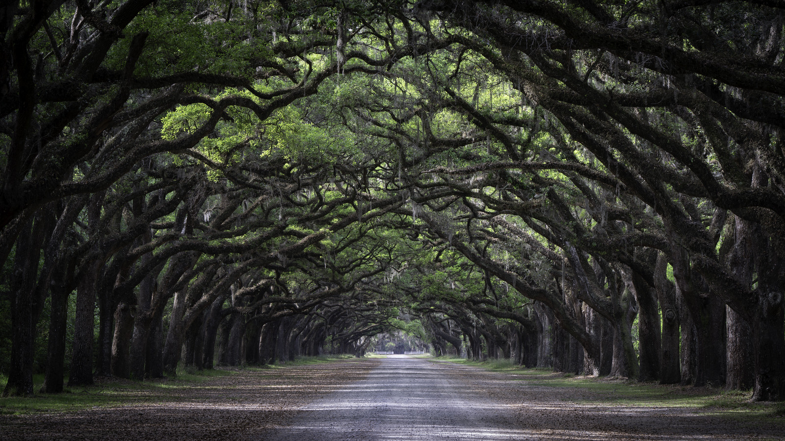 Wormsloe State Historical Site