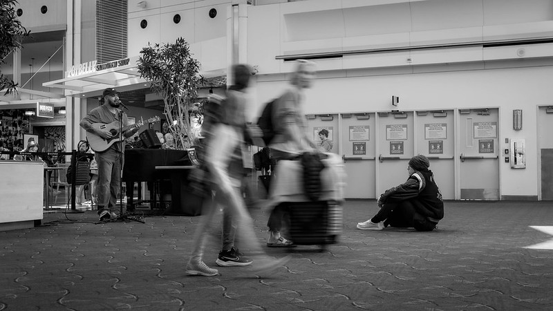 Calm amid the chaos