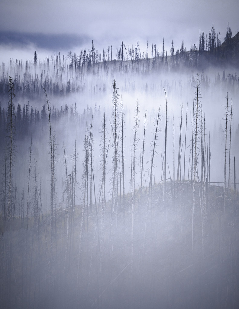 Abstracts from Jasper NP