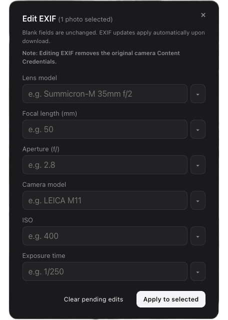 Edit EXIF / metadata panel on selected frames before download