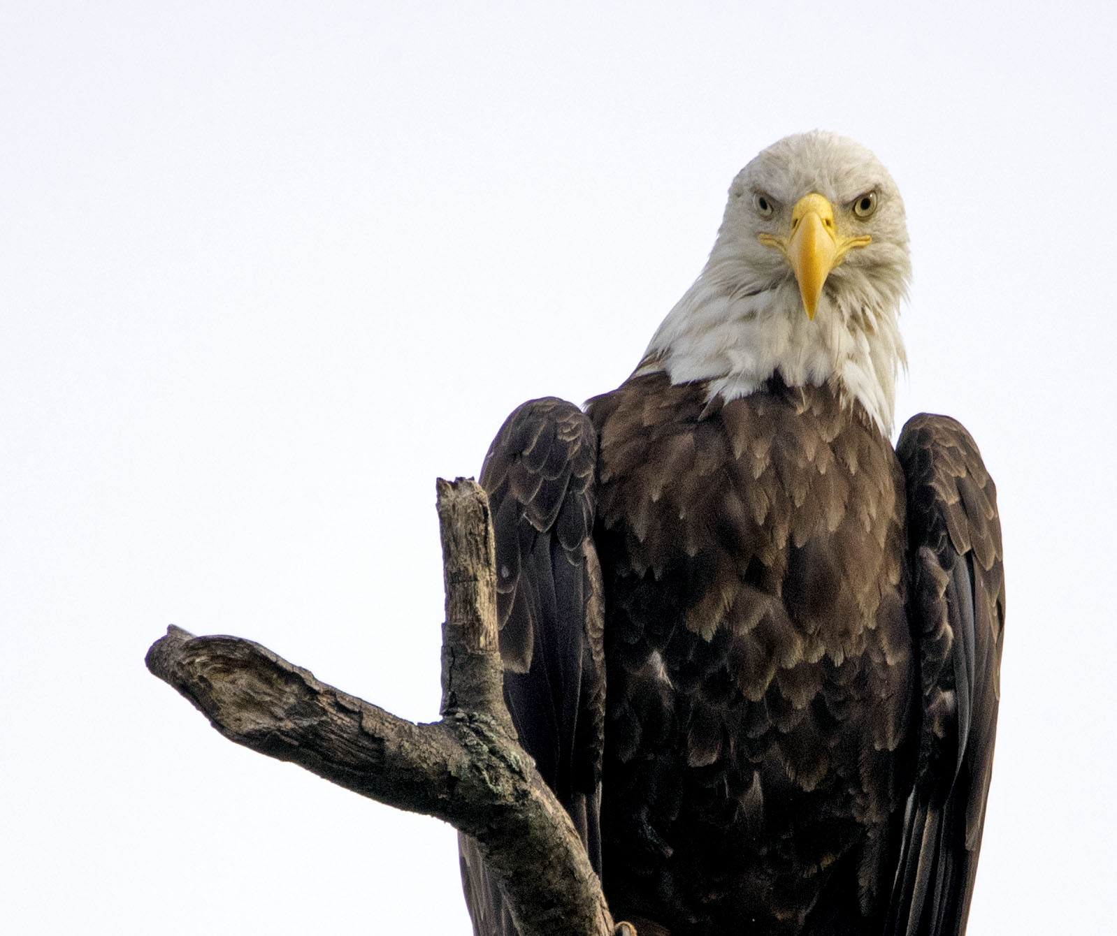 Leave Me Alone Fm Forums