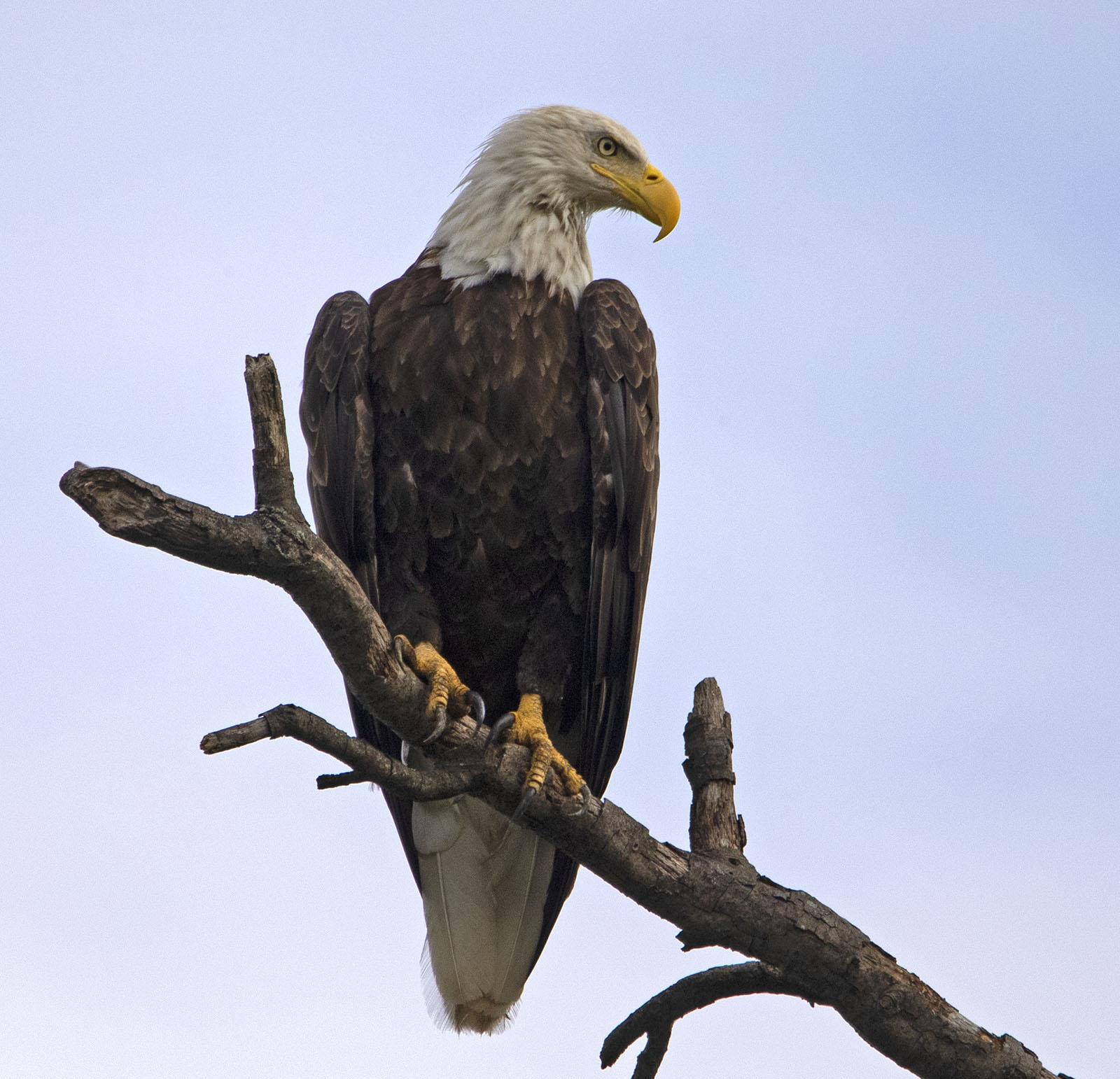 Leave Me Alone Fm Forums