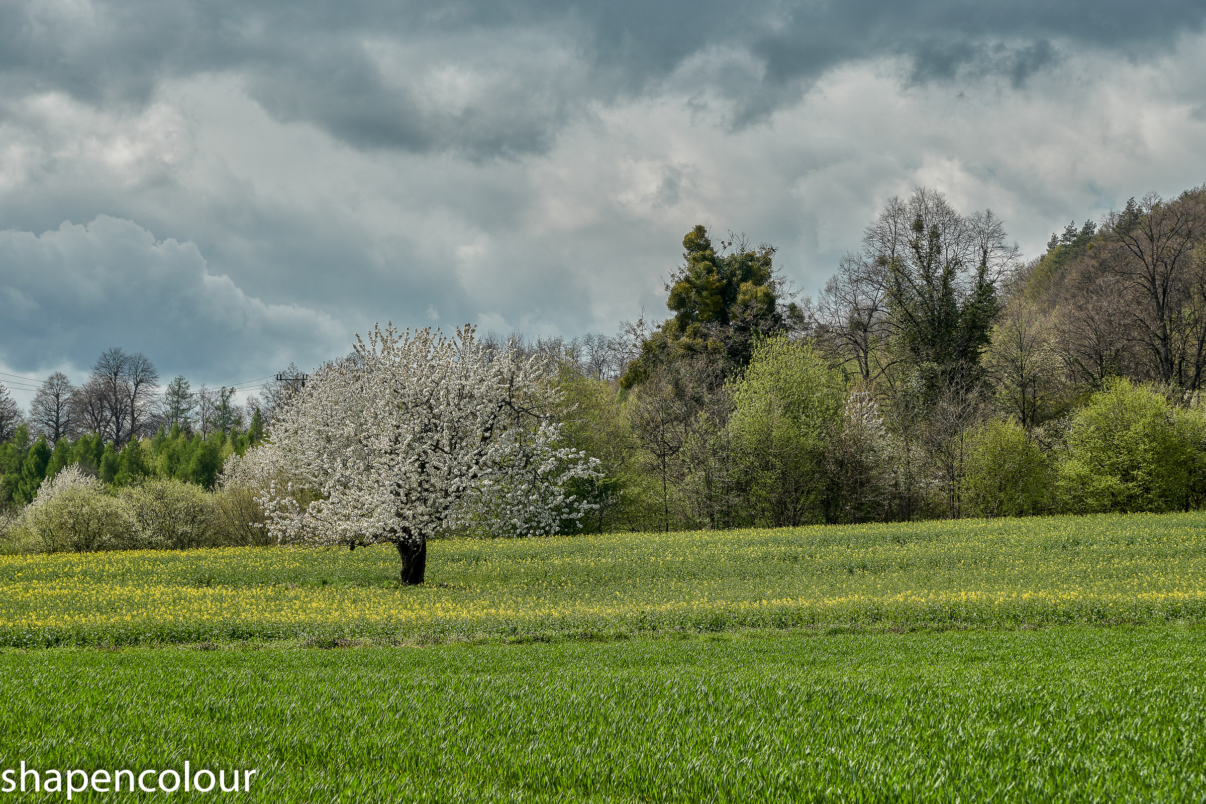 © 2026 Peire
