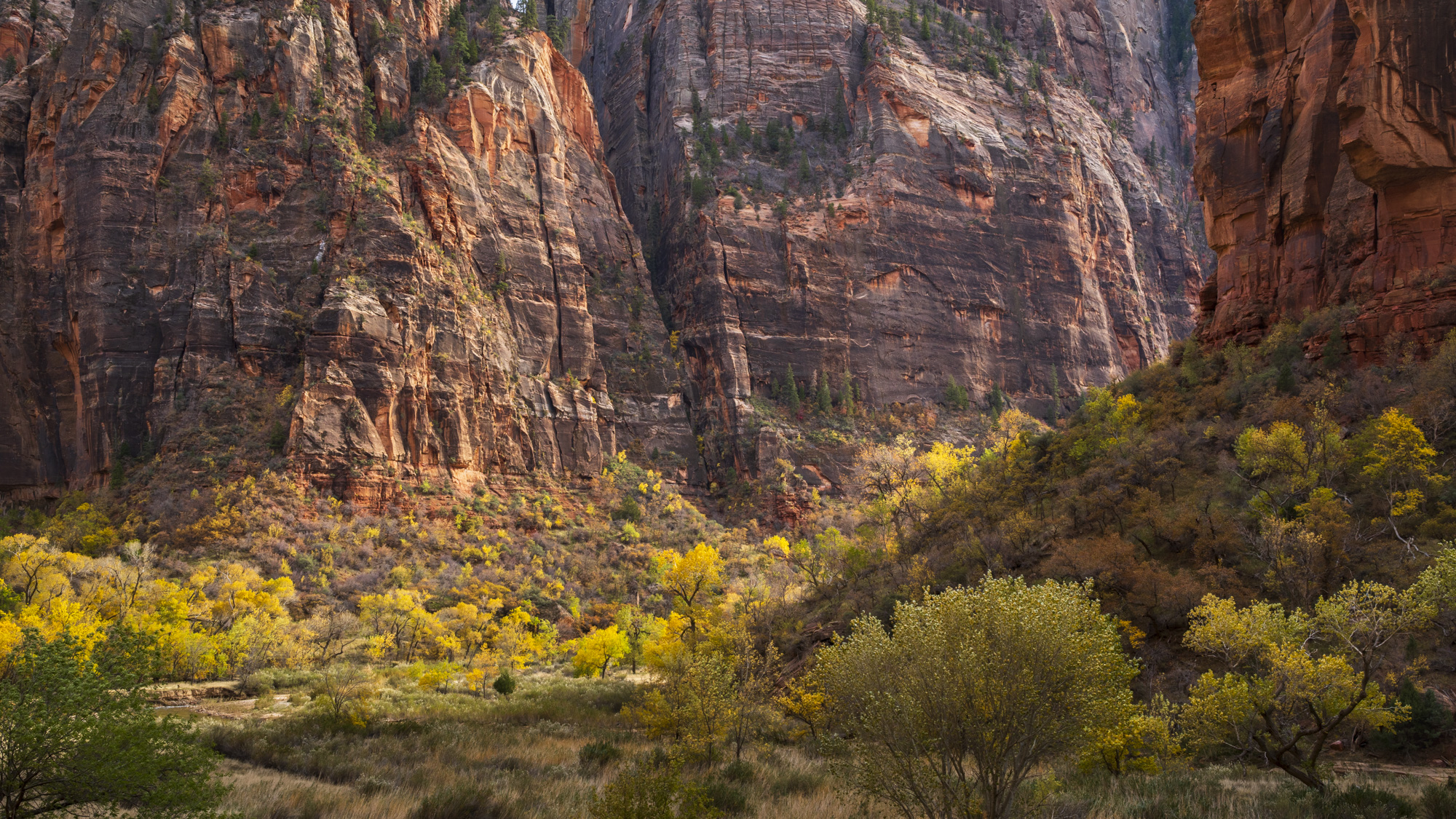 Zion Canyon Autumn From a Bicycle