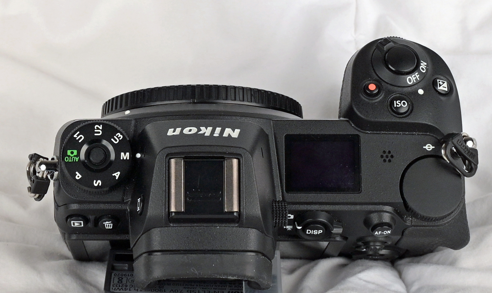 © 2026 Carmel Nikon
