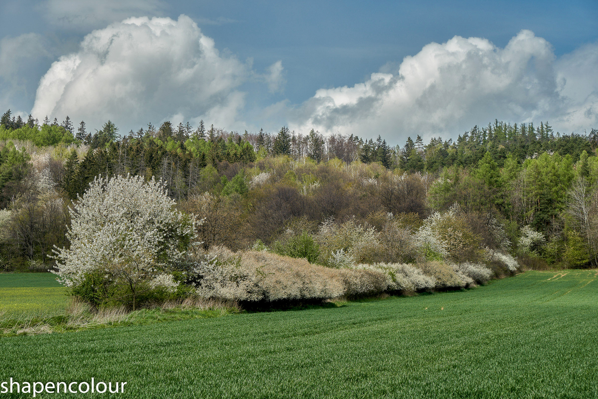 © 2026 Peire
