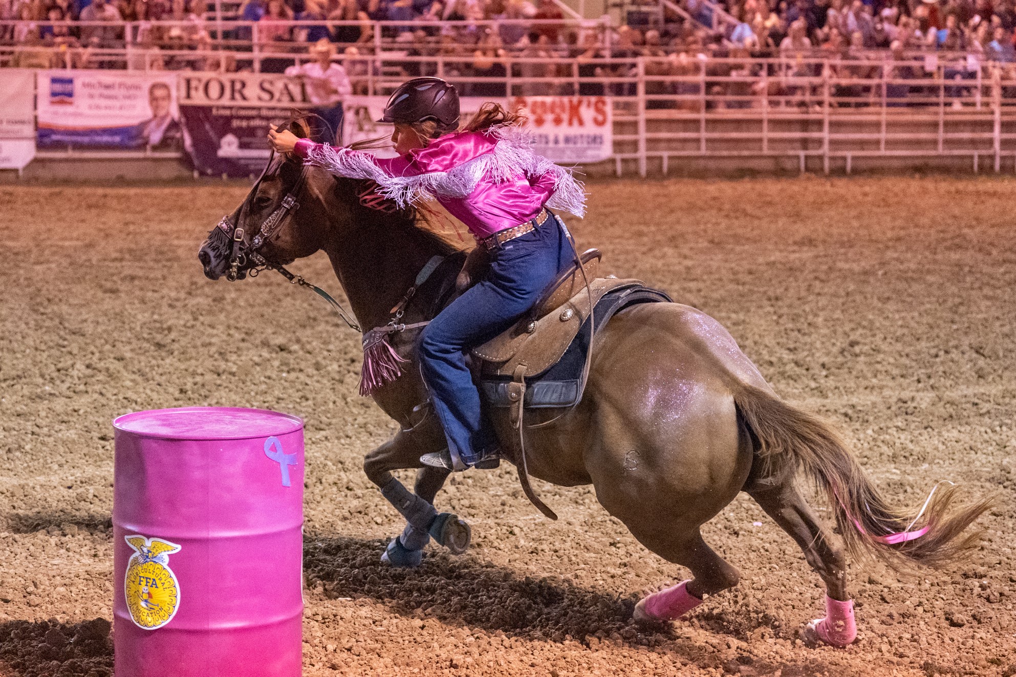 1st rodeo - FM Forums