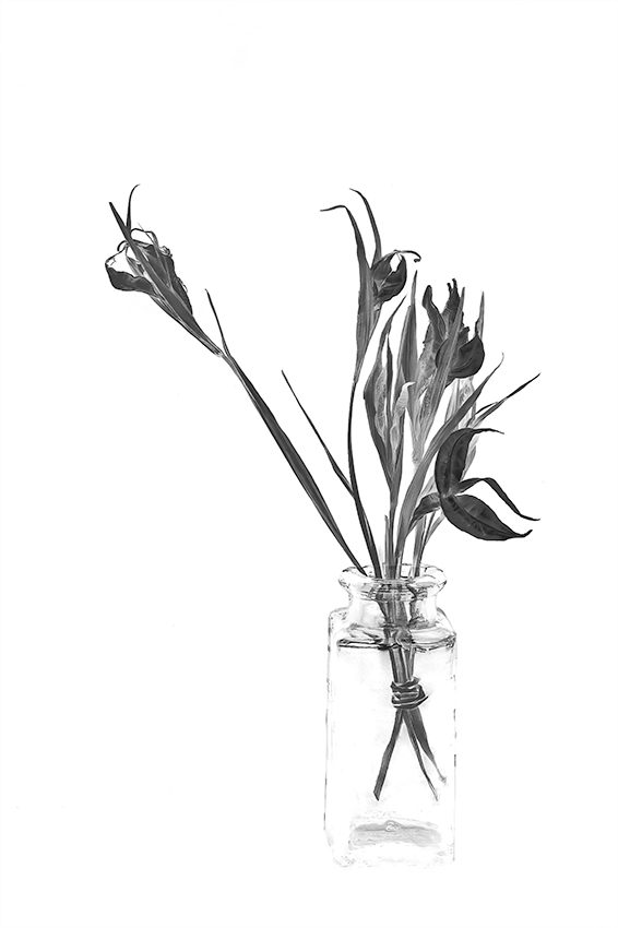 Black white vision photography fm forums