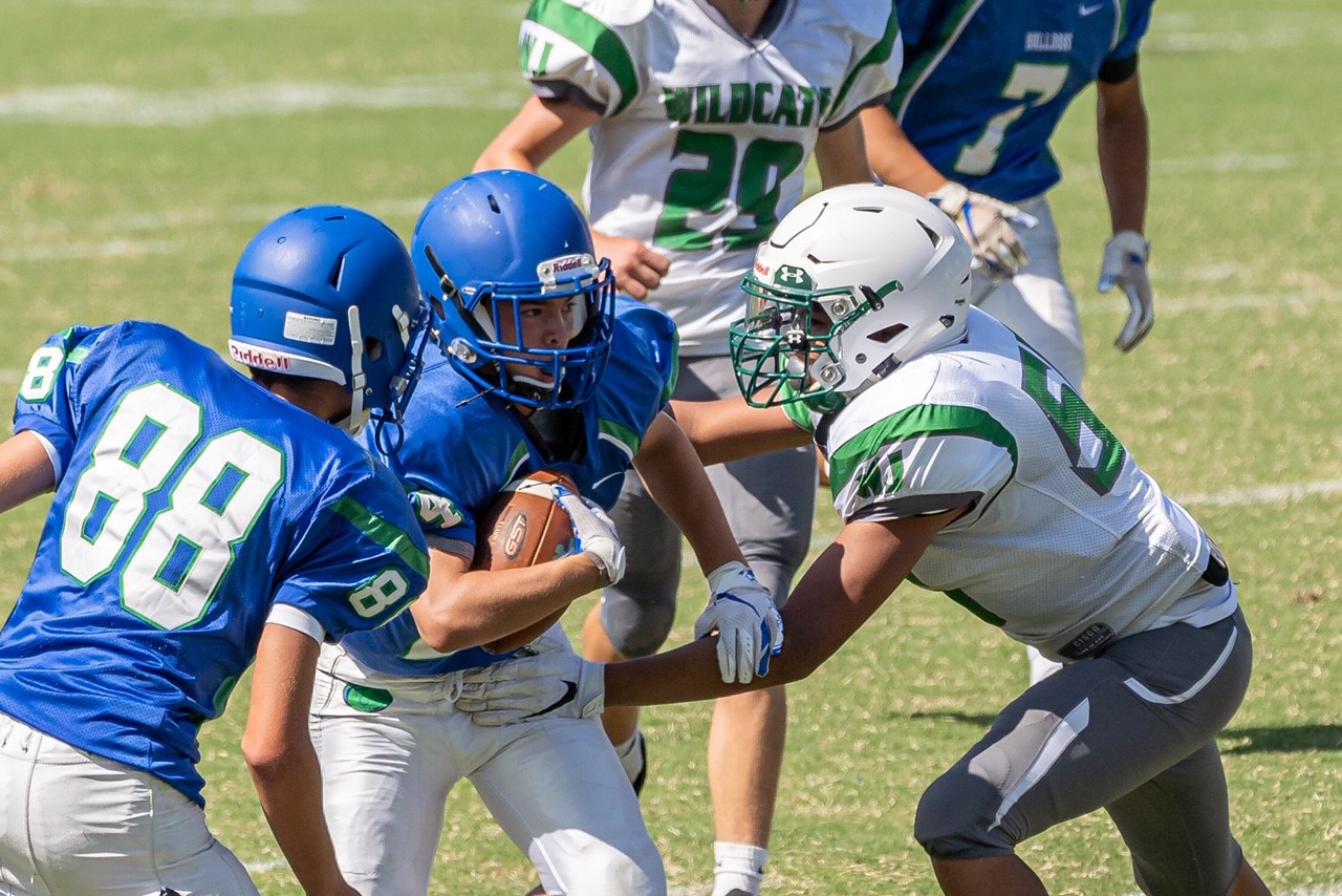 Sigma 150-600C, Outdoor sport with A7III - FM Forums