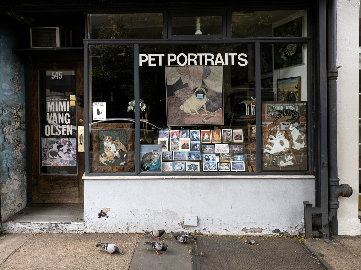 Pet Portraits FM Forums