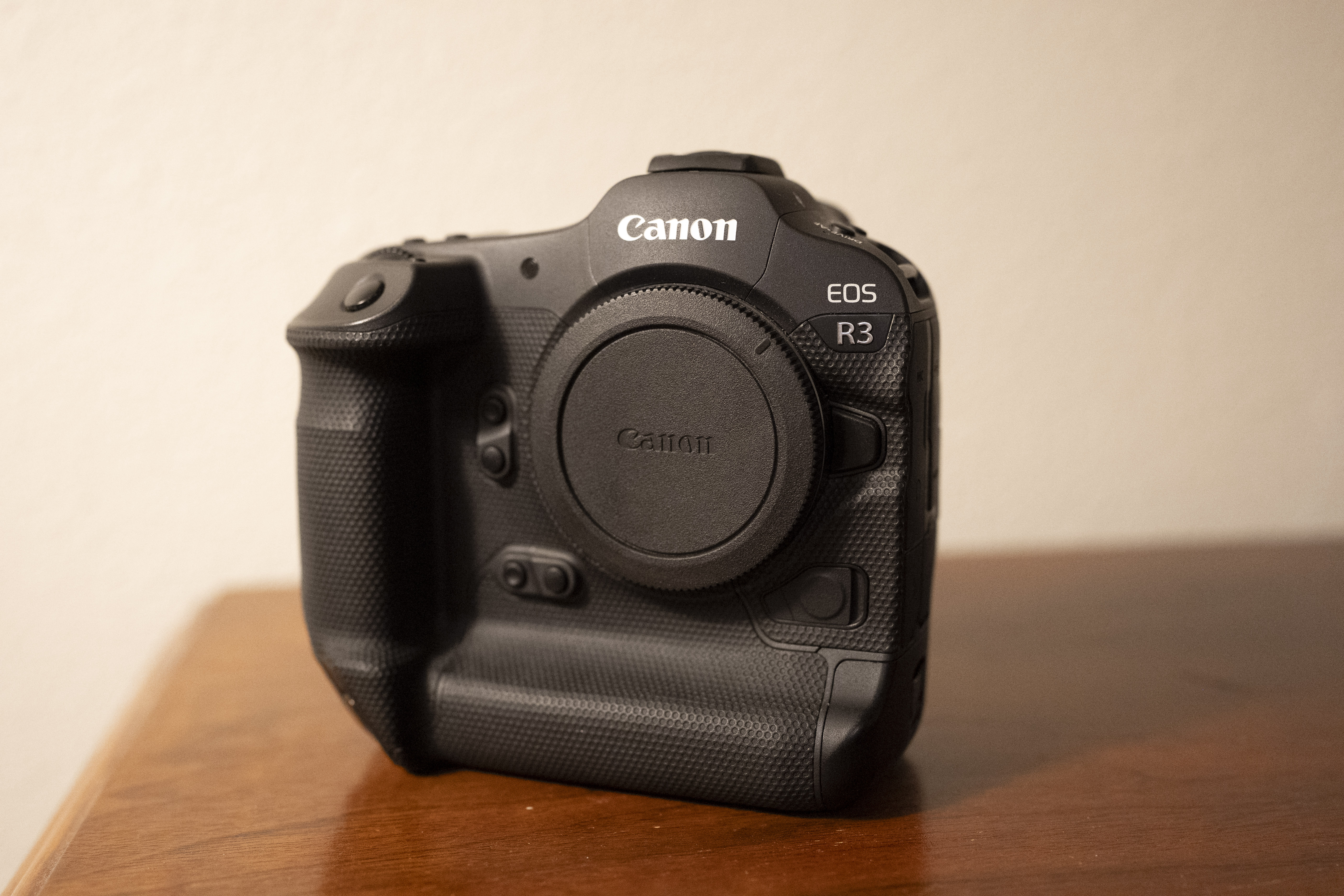 Canon R3 - 256 GB Card and Extra battery included