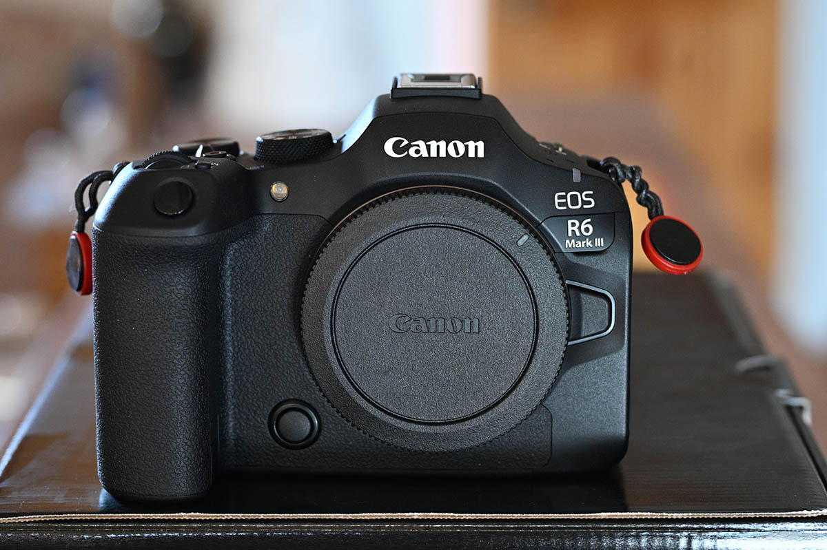 Canon EOS R6 Mark III,  RF 24-105mm f/4 L IS USM Lens