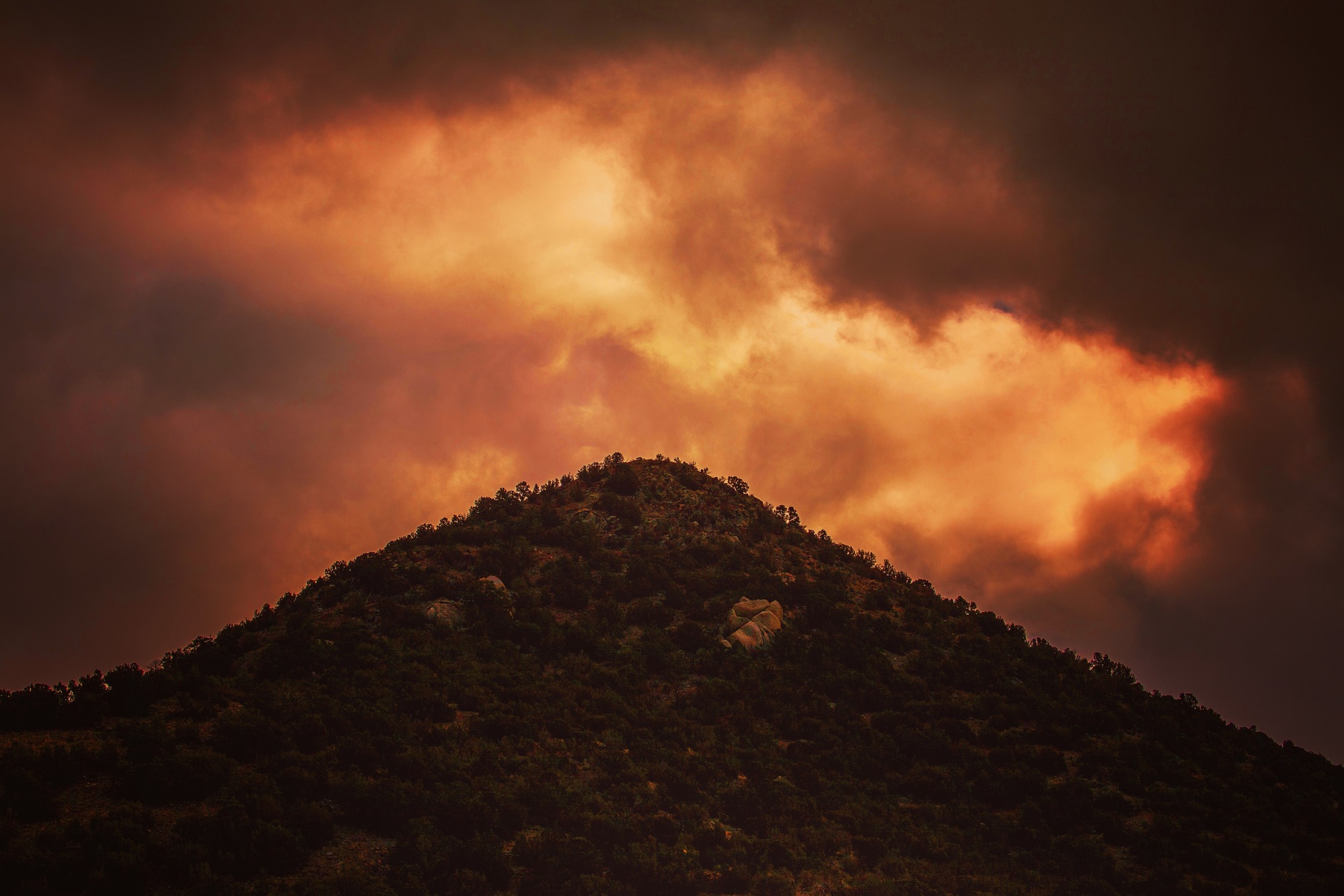 © 2026 highdesertmesa