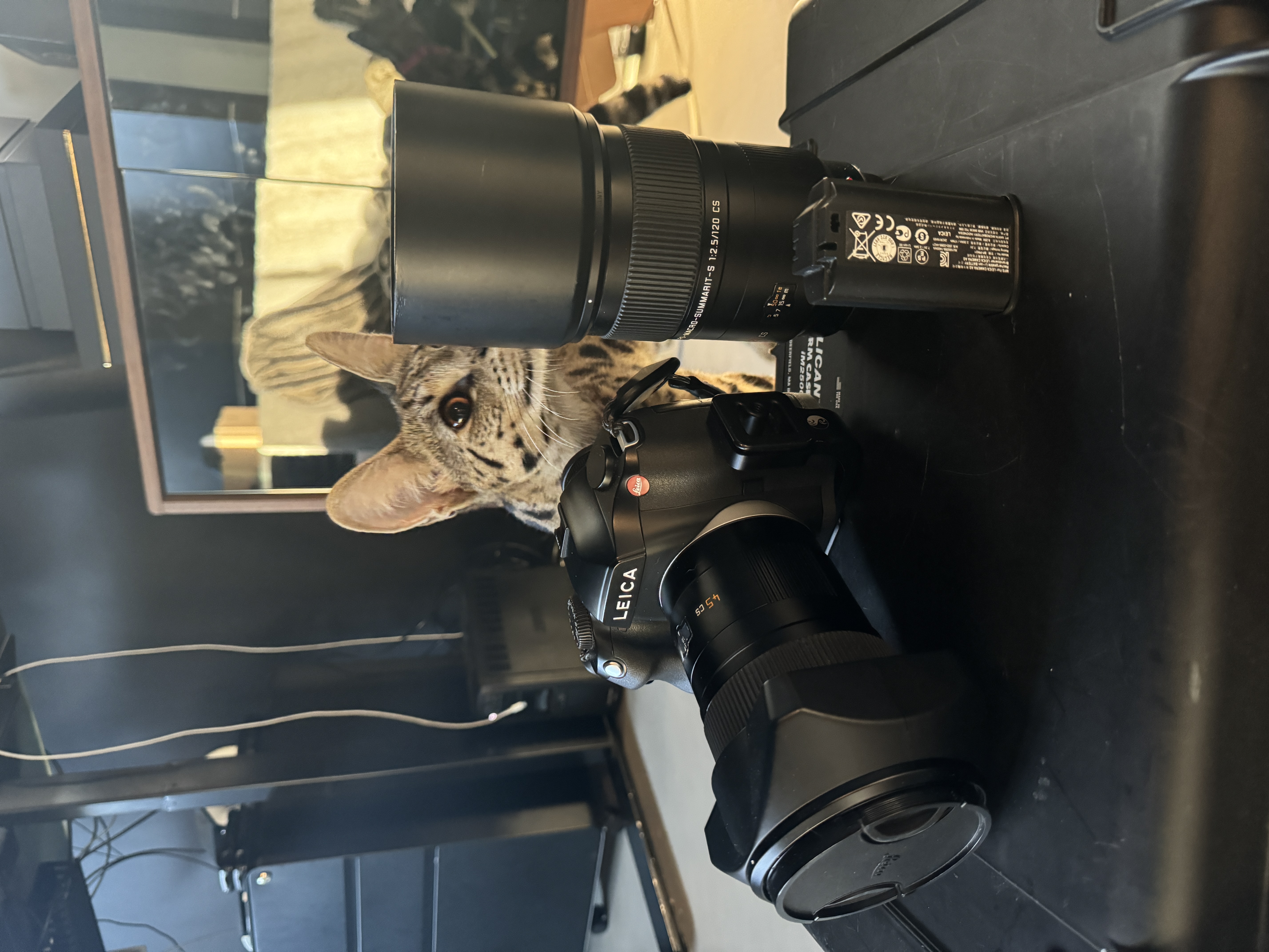 Leica S 006 (new sensor)and 120 CS macro 120mm lens