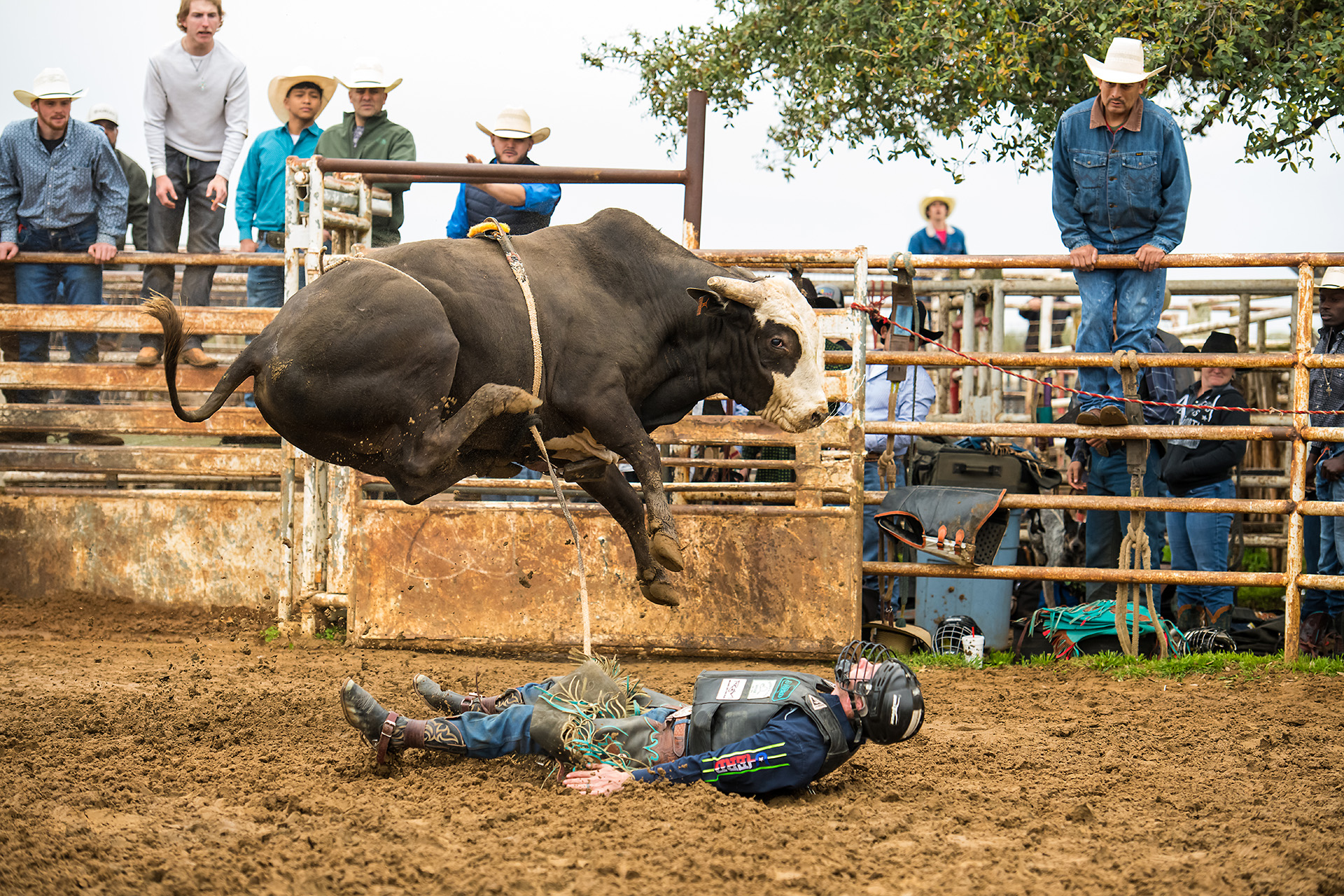 First Bull Riding Event Sports Corner - Photography - FM Forums