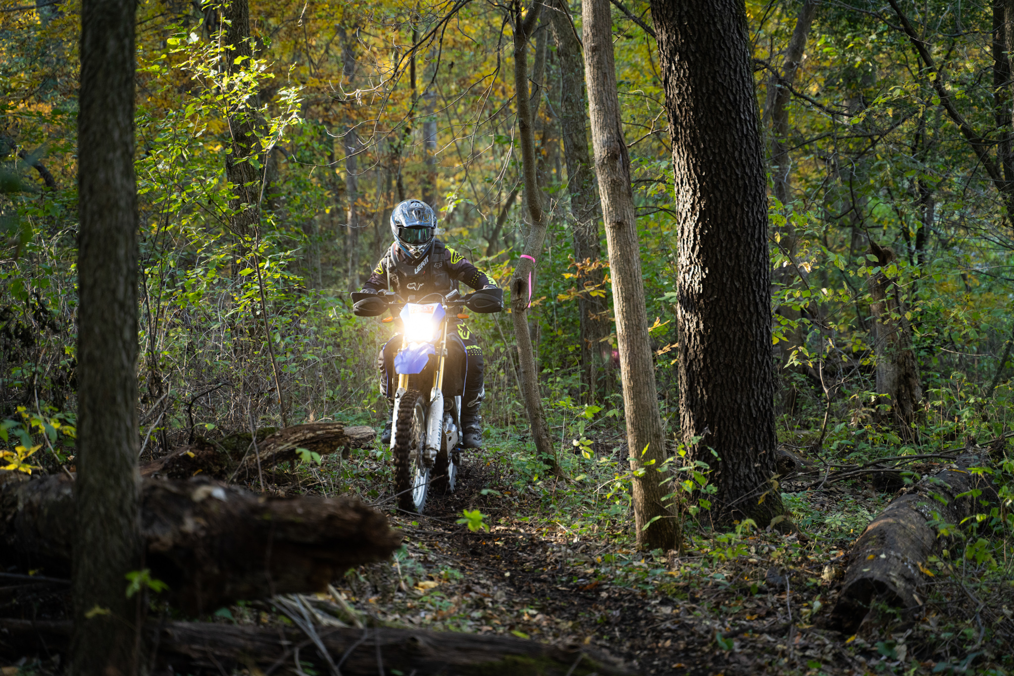 autofocus-differences-sony-a7iv-vs-a7riv-fm-forums