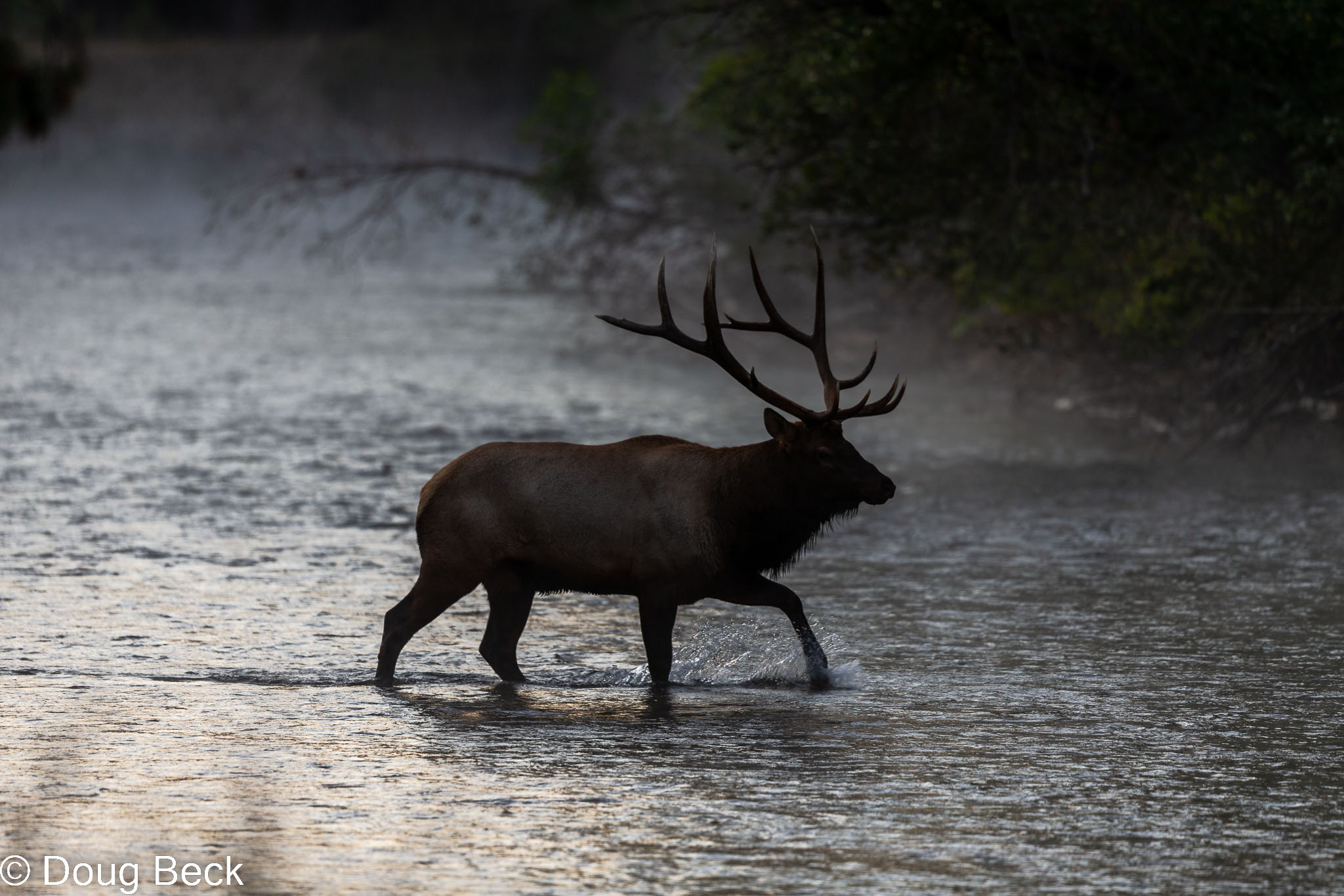 Nature & Wildlife - Photography - FM Forums