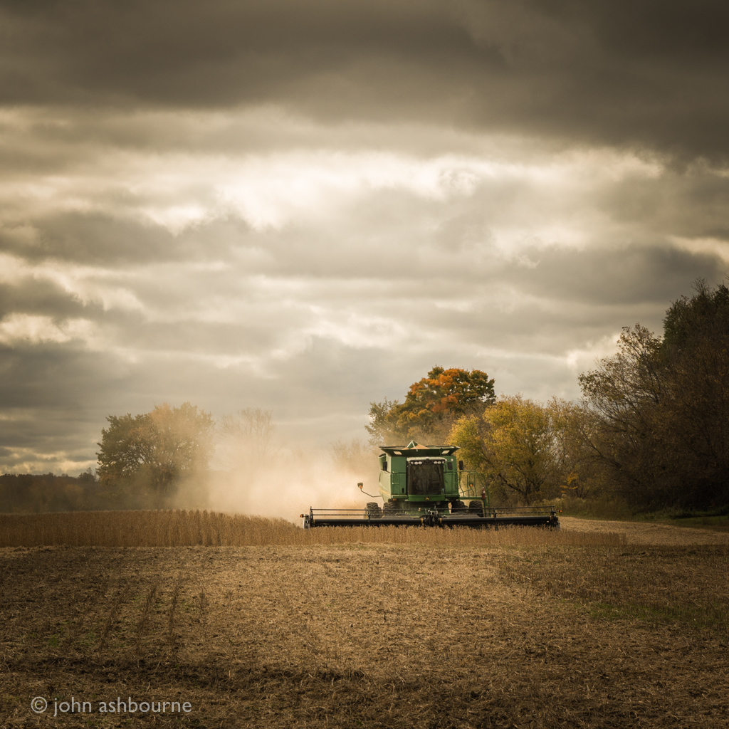 Late Harvest
