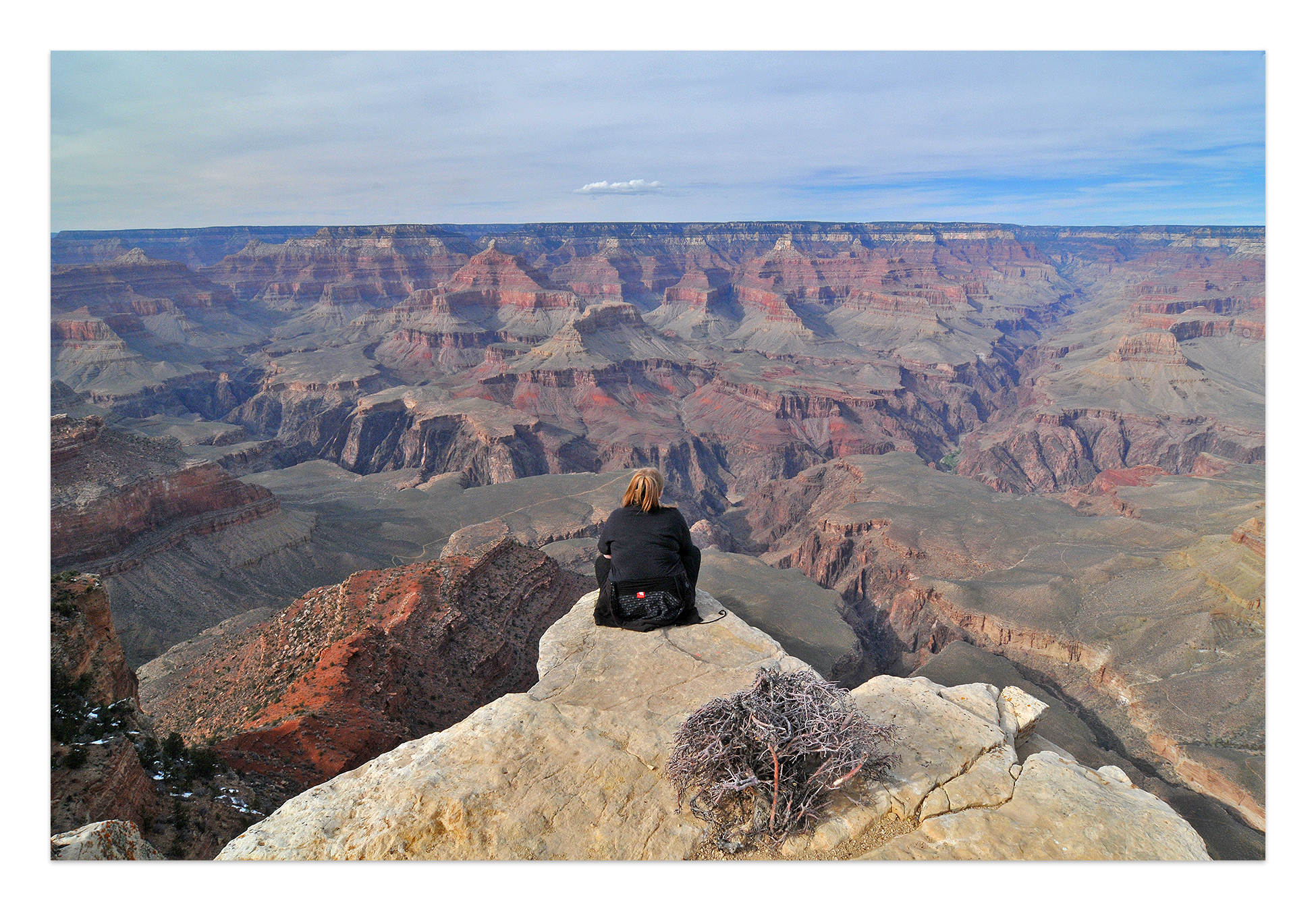 Taking it all in