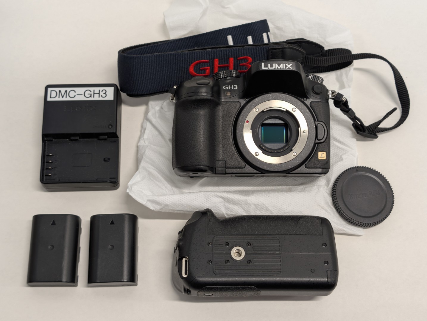 Panasonic GH3 & GF3 , Sekonic L-478D Litemaster pro