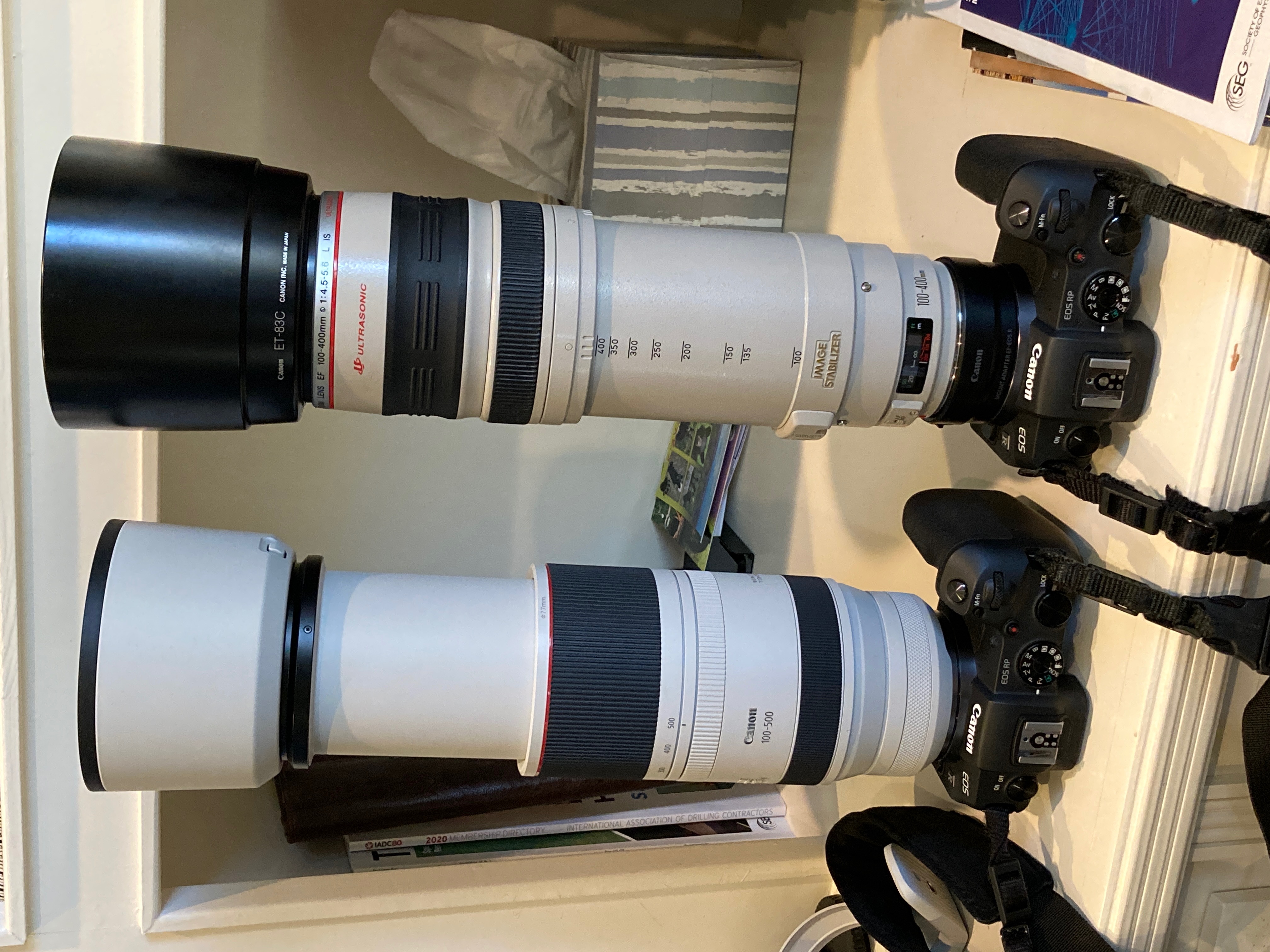 Optical Limits Canon RF 100500 and Others [meta] Review FM Forums