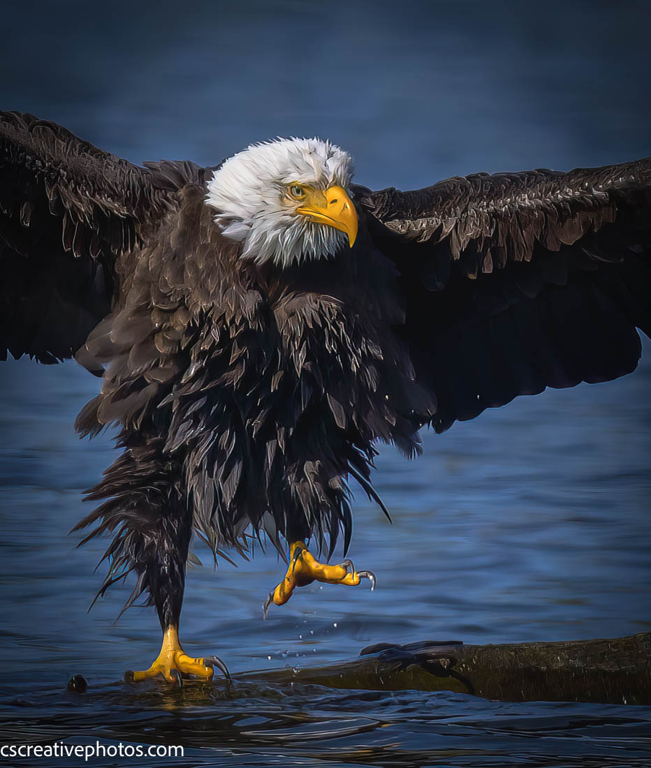 *** Cooling Off