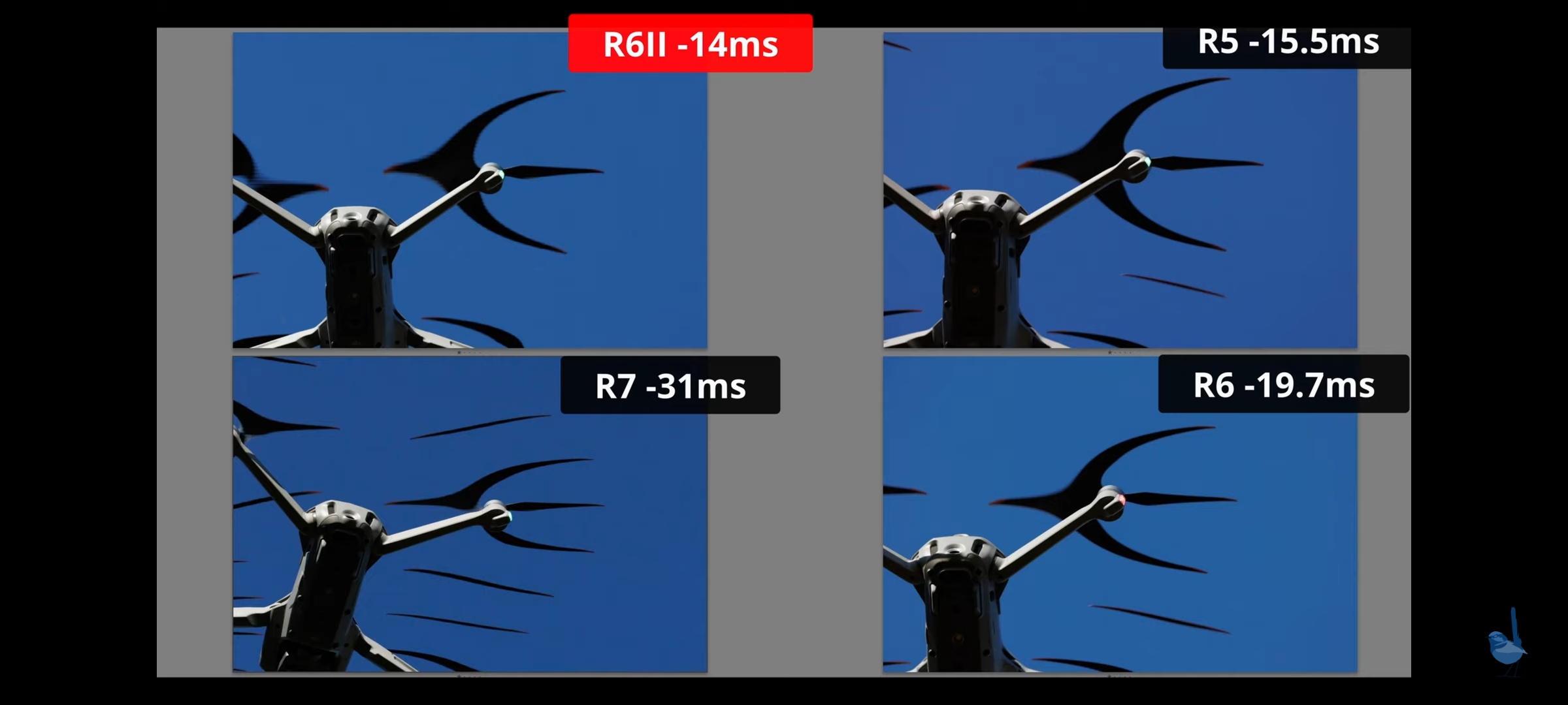 R5 Vs R6 Mk II FM Forums
