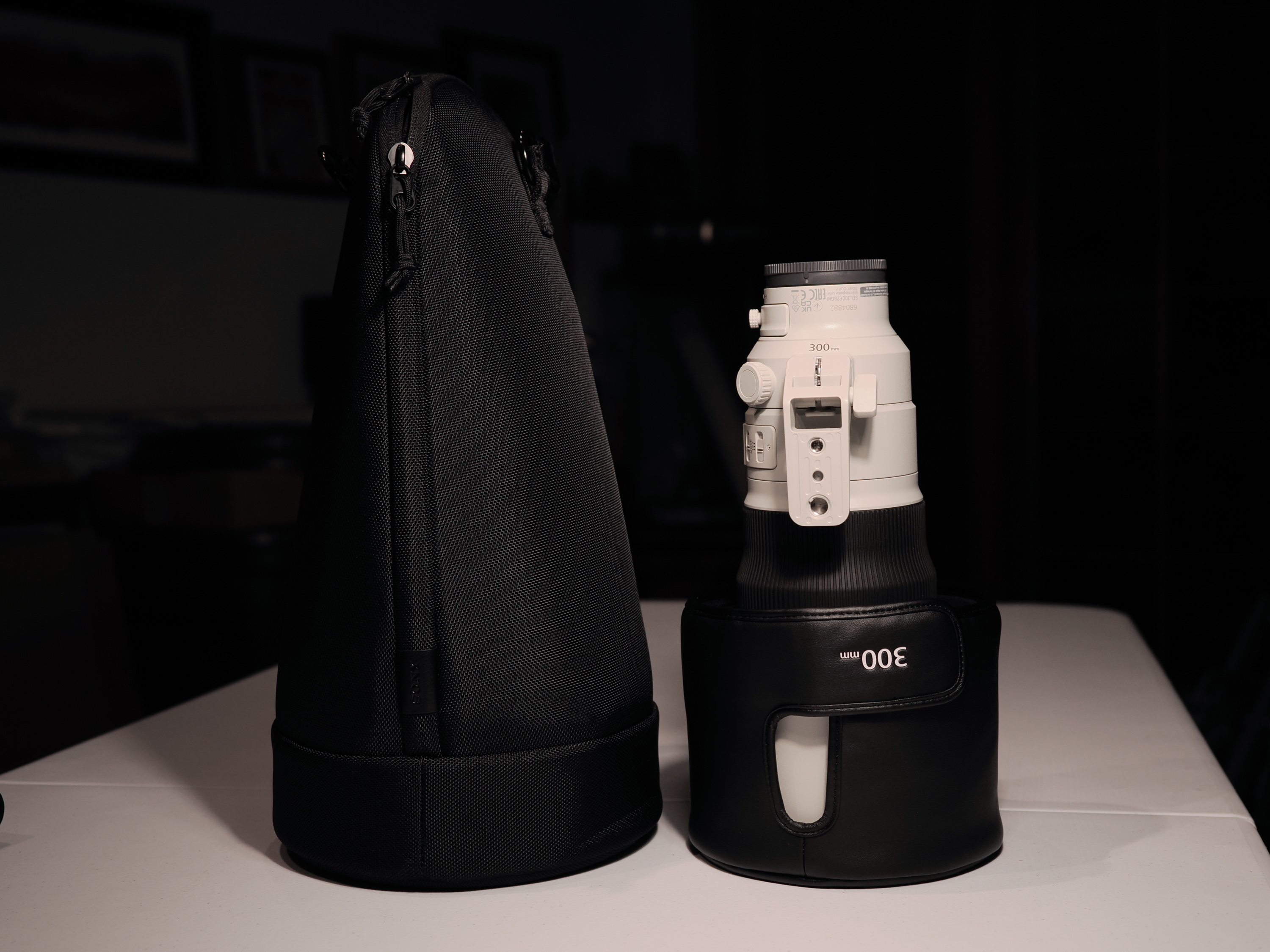 Sony 300GM