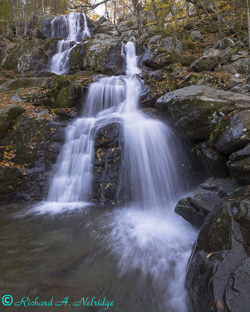 © 2026 naturephoto1