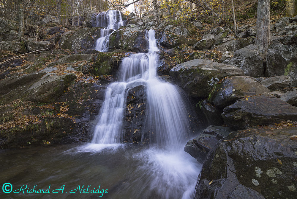 © 2026 naturephoto1
