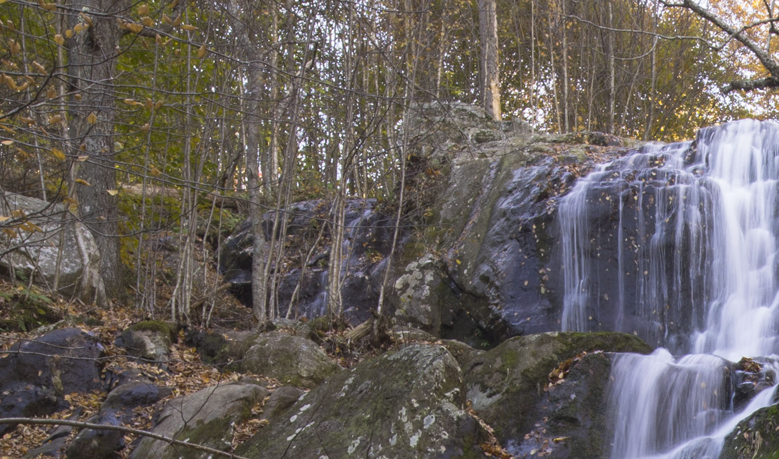 © 2026 naturephoto1