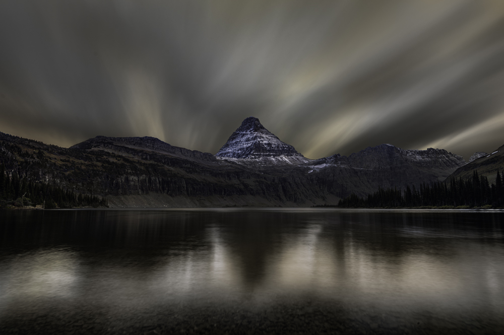 Bear Seranade - FM Forums