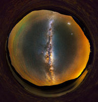 The Lizards Eye