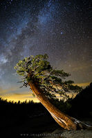 Reaching