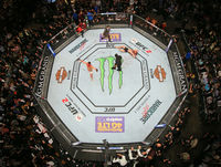 Diaz beats McGregor