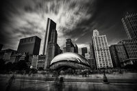 The Bean