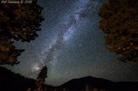Trees & the Milky Way