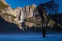 Yosemite Falls and Mist Tree