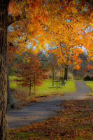 Autumn Path