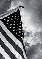 The Flag