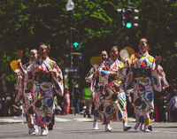 Cherry blossom 