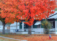 Small Town Fall