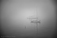 Port Townsend Fog