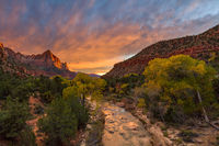 The Watchman