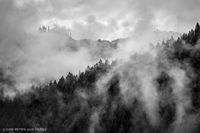 Mist over Olympic Range