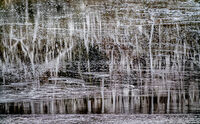 Ice woodland reflections
